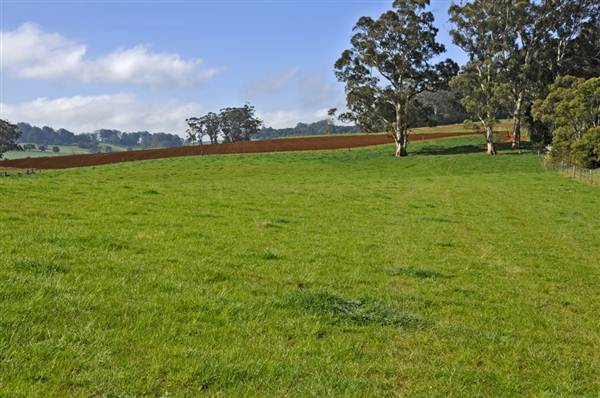 Robertson - Southern Highlands (9/03/2013 8:14:58 PM)