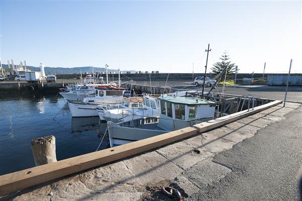 Wollongong Harbour (10/03/2013 12:51:56 PM)