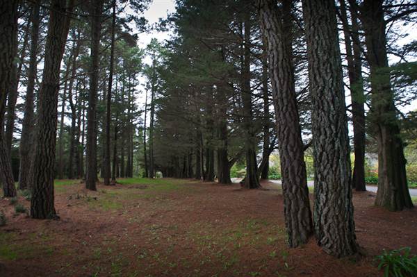 Parklands Country Garden & Lodges (10/03/2013 2:38:34 PM)