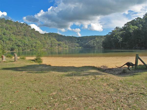 Currawong Beach Cottages & Basin Campground -  Ku-ring-gai Chase National Park (10/03/2013 9:47:04 PM)