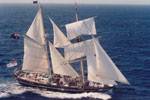 Young Endeavour (10/03/2013 11:49:20 PM)