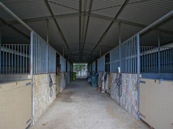 Sunburst Horse Farm (11/03/2013 12:11:45 PM)