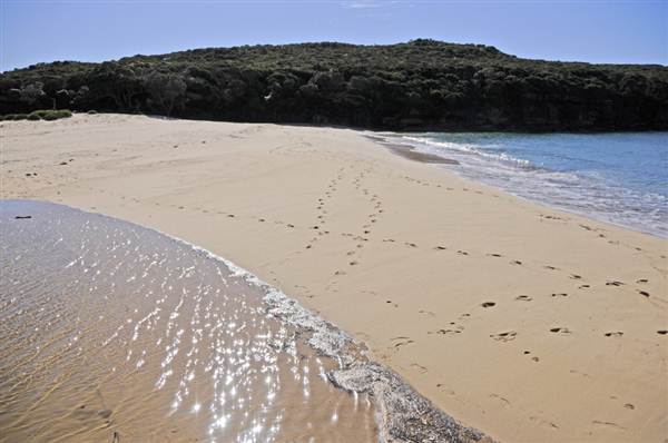 Wattamolla Beach (11/03/2013 12:58:27 PM)