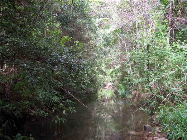 Way Way State Forest (11/03/2013 2:55:23 PM)
