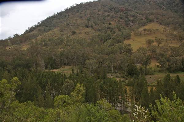 Wollondilly River Station (11/03/2013 2:58:39 PM)