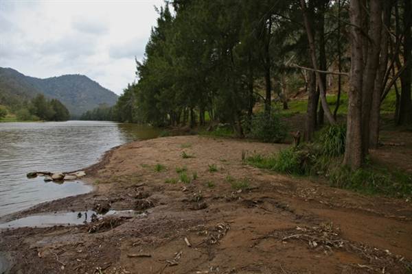 Wollondilly River Station (11/03/2013 2:58:48 PM)
