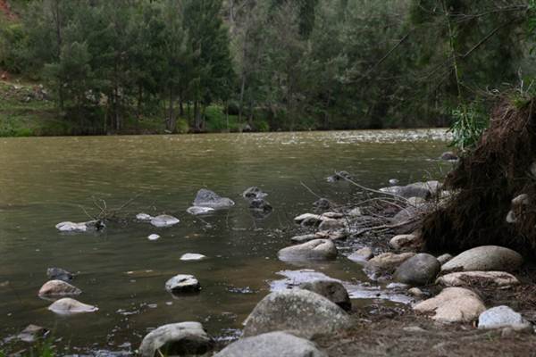 Wollondilly River Station (11/03/2013 2:59:00 PM)