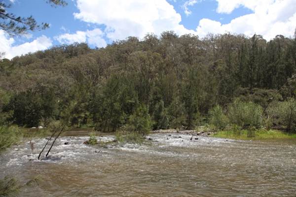 Wollondilly River Station (11/03/2013 3:02:34 PM)