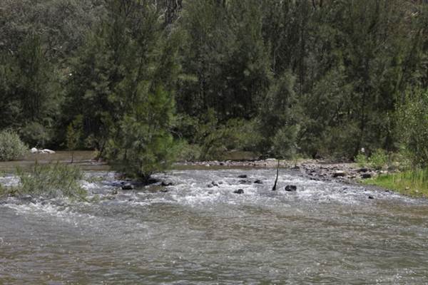 Wollondilly River Station (11/03/2013 3:02:57 PM)