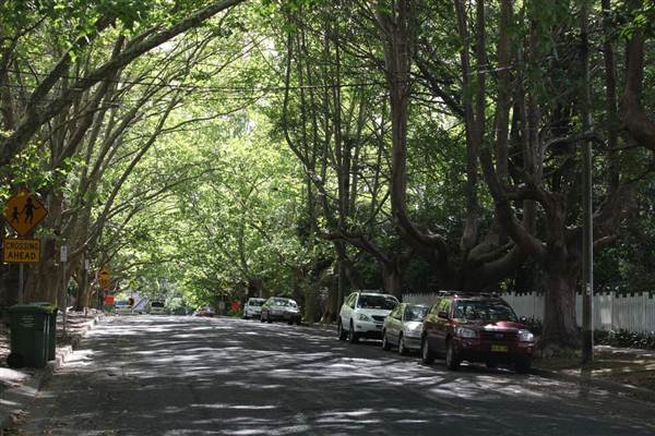 Water St - Pymble (13/03/2013)