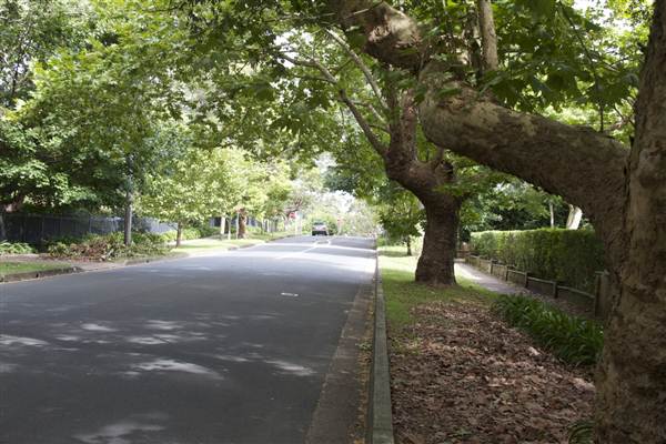 Wahroonga (13/03/2013)