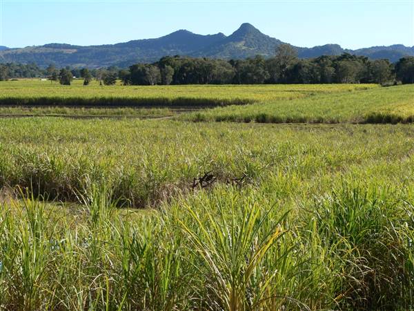 Mullumbimby Area (17/04/2013)