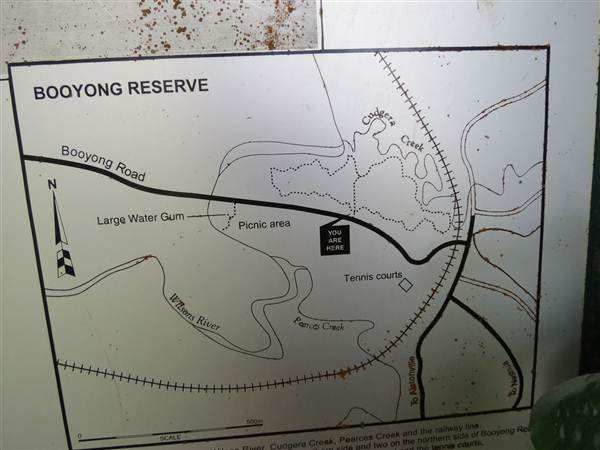 Booyong Flora Reserve (11/04/2013)