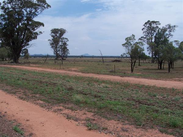 Baradine to Coonabarabran road (26/04/2013)