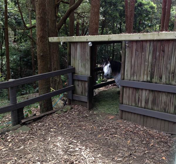 Private Horse Farm - Otford (30/09/2012)