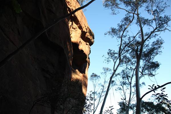 Mitchells Ridge Lookout - Mount Victoria (18/06/2013)