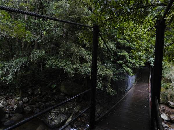 Minnamurra Rainforest Walk (28/02/2011)