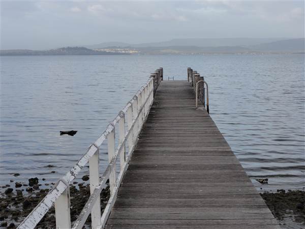 Lake Illawarra North-Wollamai Park (15/09/2011 - Credits: Tony Brown /SISE)