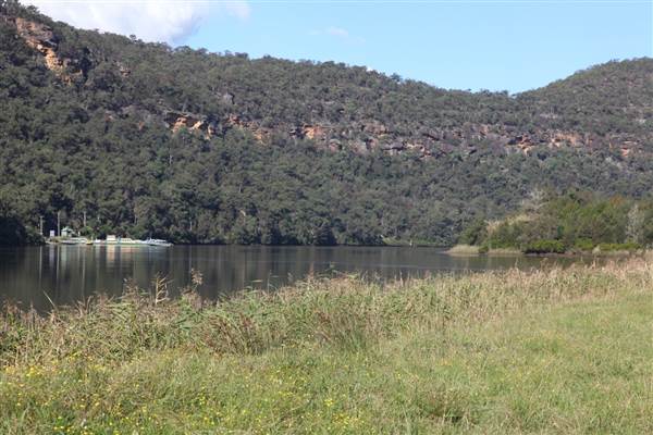 Freemans Reach (17/07/2013)
