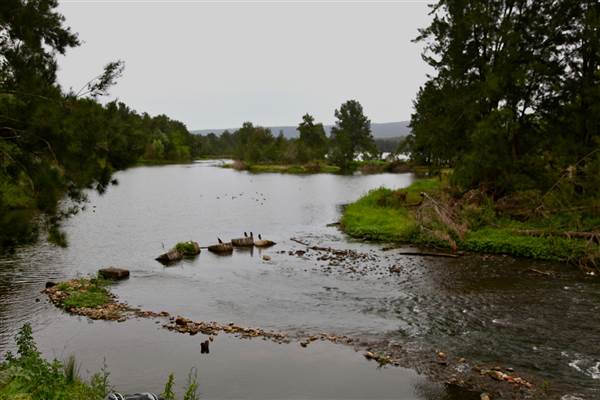 Yarramundi Reserve (17/07/2013)
