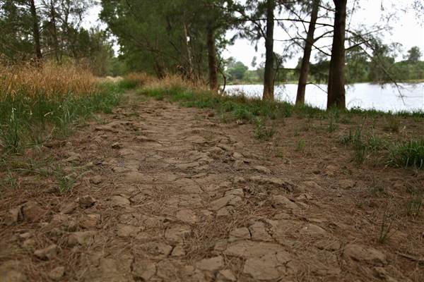 Yarramundi Reserve (17/07/2013)