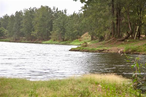 Yarramundi Reserve (17/07/2013)