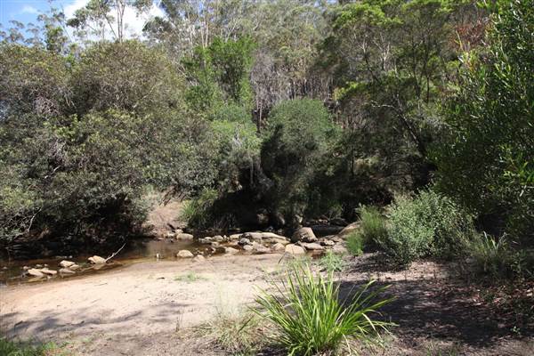 Georges River Nature Reserve (17/07/2013)