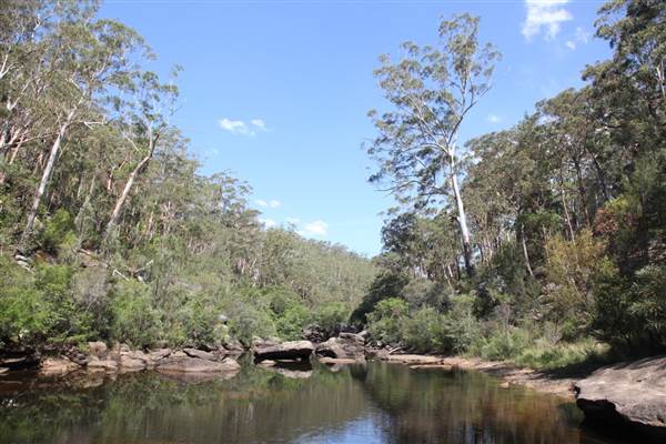 Georges River Nature Reserve (17/07/2013)