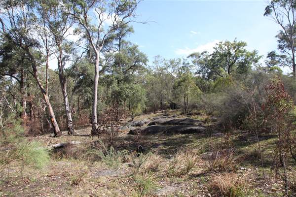 Georges River Nature Reserve (17/07/2013)