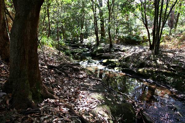 Warraroon Reserve (17/07/2013)