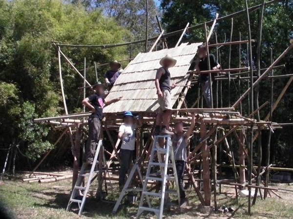 Private Properties - Bamboo, Jungle, Exotic, Forest (26/11/2013)