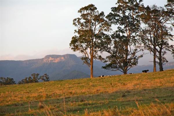 Kangaroo valley (28/11/2013)