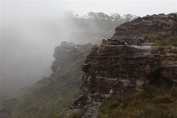 Mt Banks (28/11/2013)