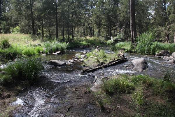 Coxs River - Glenroy Cabins and Camp Ground - Canon 5D (13/12/2012 - Credits: Luke Torrevillas)