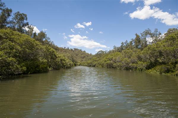 Georges River (5/12/2013)