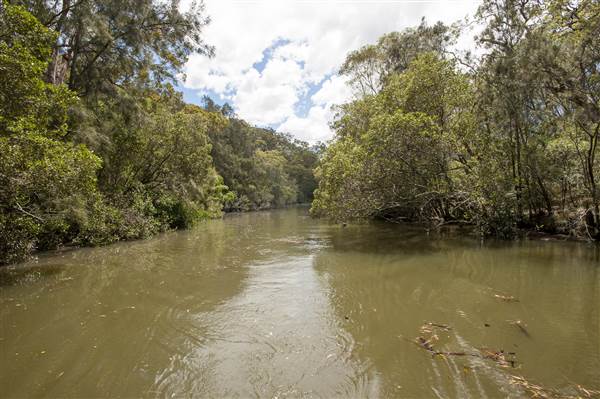 Georges River (5/12/2013)