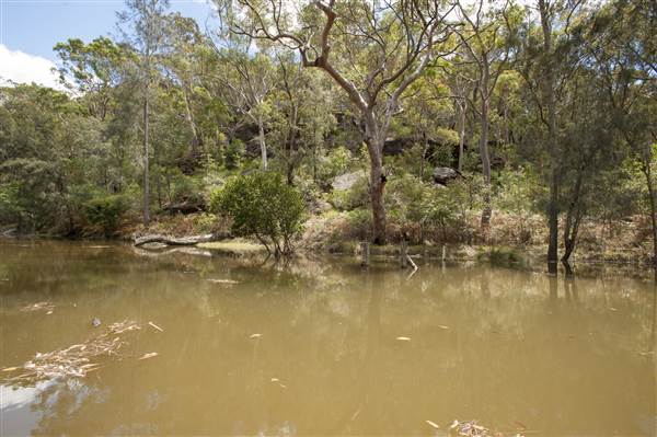Georges River (5/12/2013)