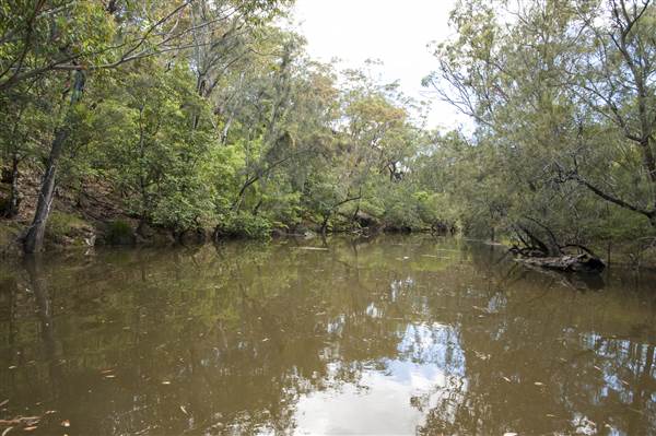 Georges River (5/12/2013)