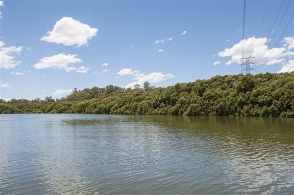 Georges River (5/12/2013)