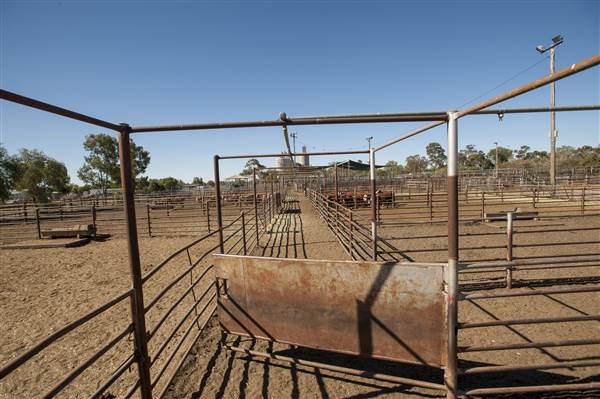Coonamble (26/11/2013)