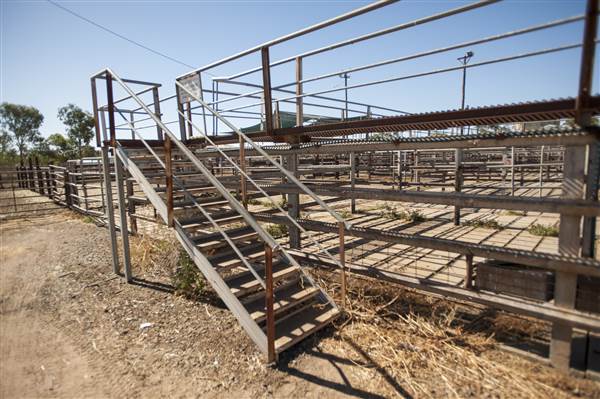 Coonamble (26/11/2013)