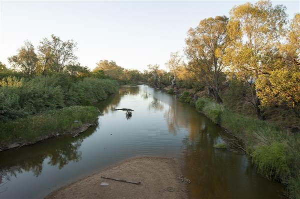 Coonamble (26/11/2013)