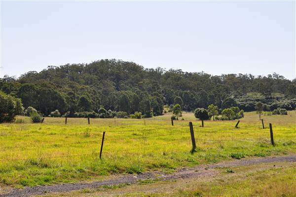Scenic NSW Equine Centre (25/09/2013 - Credits: Ivy Carrano, Garth Birch)