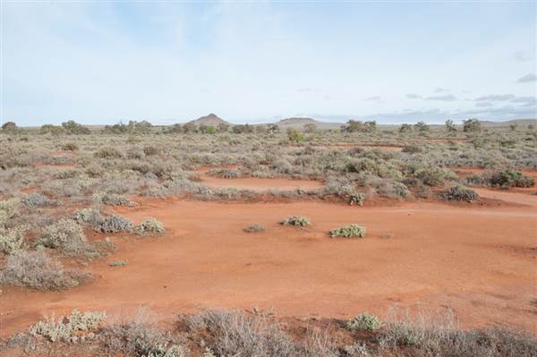 Pinnacles - Broken Hill (6/06/2013 - Credits: Colin McDougall)