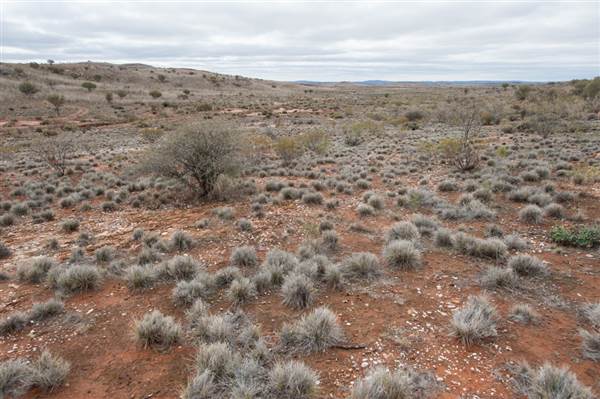 Broken Hill Sculptures Site and Living Desert (6/06/2013 - Credits: Colin McDougall)