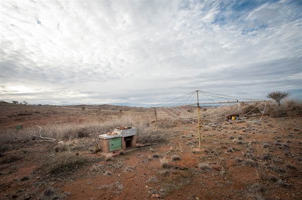 Mount Gipps Station (6/06/2013 - Credits: Colin McDougall)