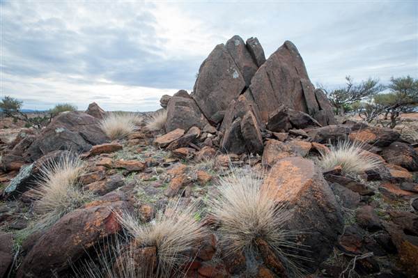 Mount Gipps Station (6/06/2013 - Credits: Colin McDougall)
