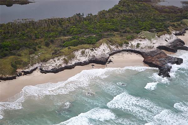 Bundjalung National Park (3/04/2014)