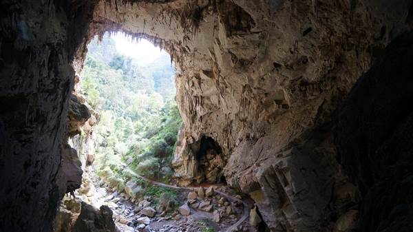 Jenolan Caves (9/06/2014 - Credits: Mary Barltrop)