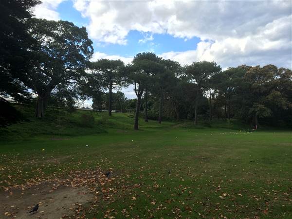 Centennial Park (25/06/2014)